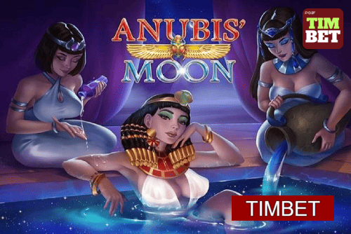 Multi-Sport Coverage